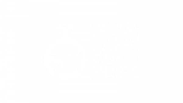 german design award 2024